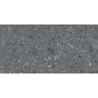 RAGNO REALSTONE_CEPPO RT ANTRACITE 60x120 cm RCWW Italian Tile RAGNO REALSTONE_CEPPO RT ANTRACITE 60x120 cm RCWW Italian Tile