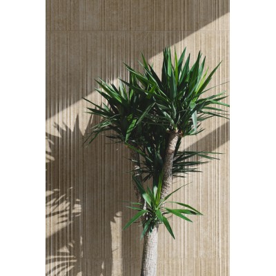 RAGNO ARGENT STRUTTURA 3D MIELE 60x120 cm R9MG Italian Tile RAGNO ARGENT STRUTTURA 3D MIELE 60x120 cm R9MG Italian Tile