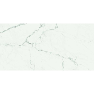 RAGNO IMPERIALE STATUARIETTO 58x116 cm GLOSSY R72G Italian Tile