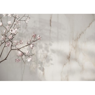 RAGNO INCANTO CREMO DELICATO 60x120 cm NATURAL R8SH Italian Tile